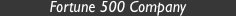 Fortune 500 Company